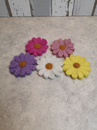 Margeritenblüte "Daisy" in verschiedenen Farben